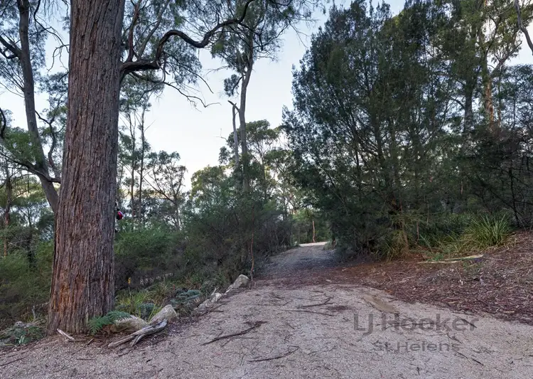 Fifth view of Homely land listing, 367 Binalong Bay Road, St Helens TAS 7216