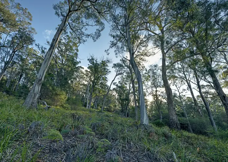 Sixth view of Homely land listing, 367 Binalong Bay Road, St Helens TAS 7216
