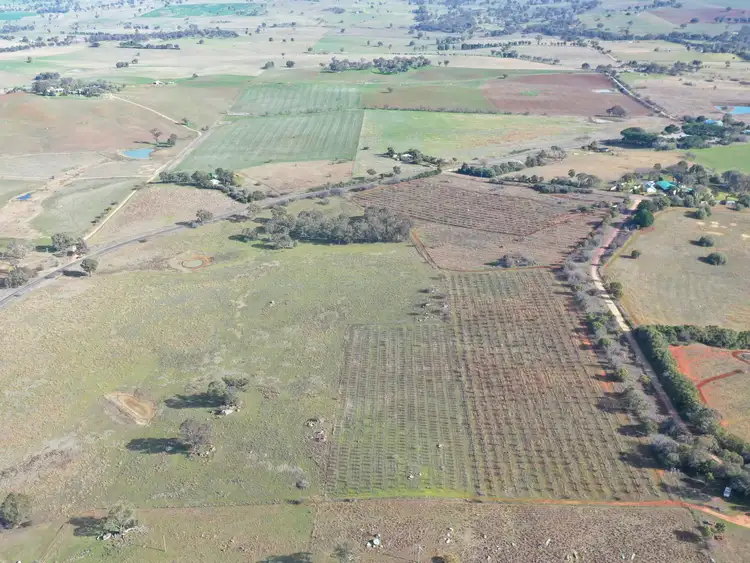 Fifth view of Homely land listing, Lot 179,205 & 206/463 Maimuru SS Road, Maimuru NSW 2594
