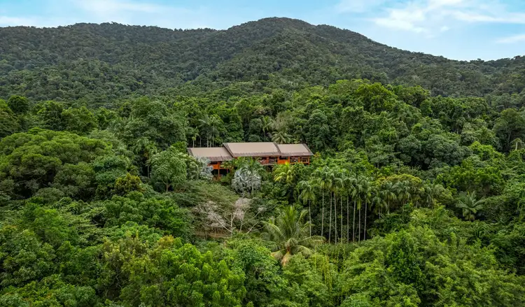 Main view of Homely house listing, 257 Cape Kimberley Road, Daintree QLD 4873