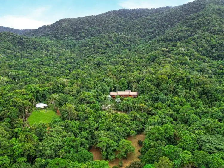 Sixth view of Homely house listing, 257 Cape Kimberley Road, Daintree QLD 4873