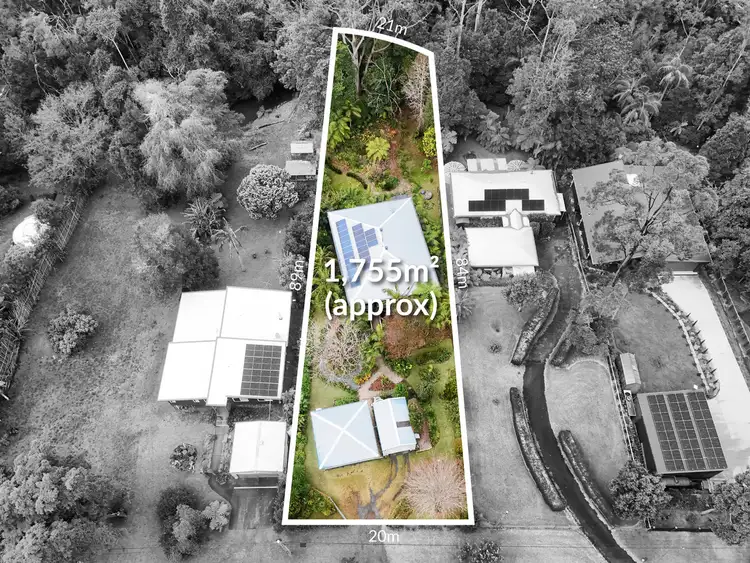 Second view of Homely house listing, 31 Lloyds Road, Springbrook QLD 4213