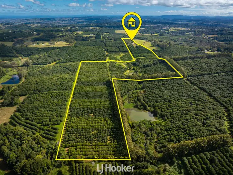 Third view of Homely rural property listing, 356 Alphadale Road, Lindendale NSW 2480