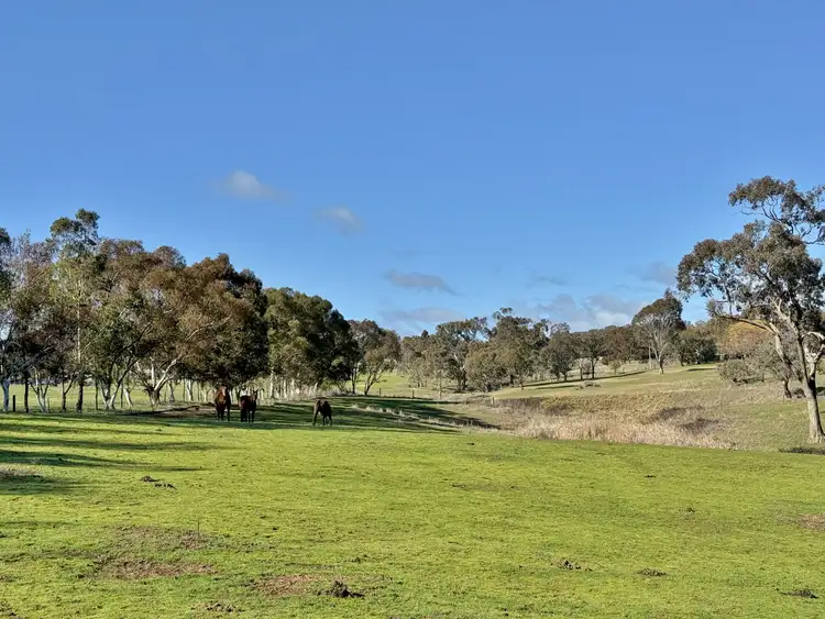 Second view of Homely land listing, 77 Newton Road, Young NSW 2594