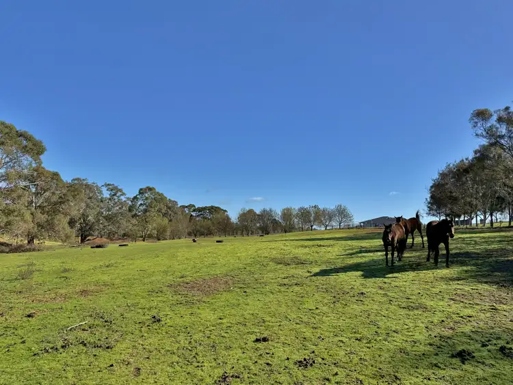 Fourth view of Homely land listing, 77 Newton Road, Young NSW 2594