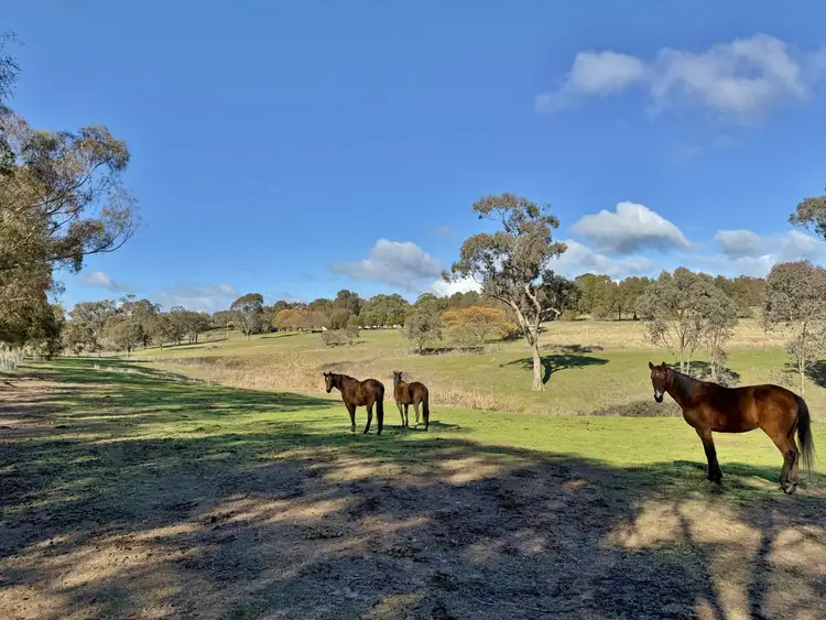 Fifth view of Homely land listing, 77 Newton Road, Young NSW 2594