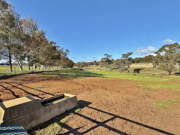 Sixth view of Homely land listing, 77 Newton Road, Young NSW 2594