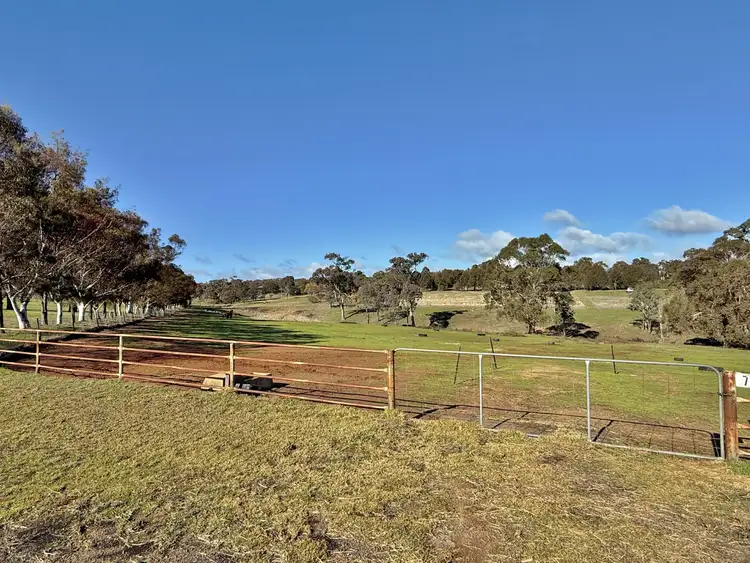 Seventh view of Homely land listing, 77 Newton Road, Young NSW 2594