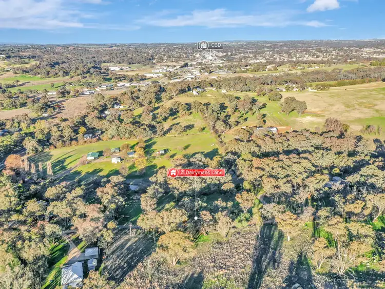 21 Dairymans Lane, Young NSW 2594