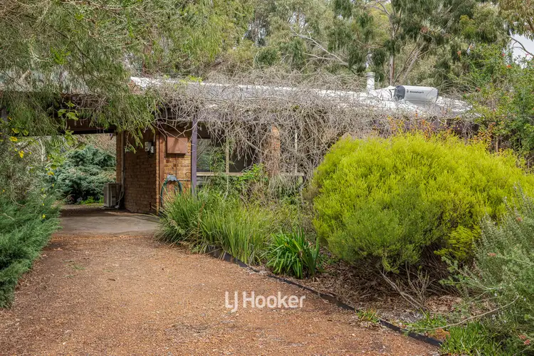 Main view of Homely rural property listing, 36 Marshall Road, Argyle WA 6239