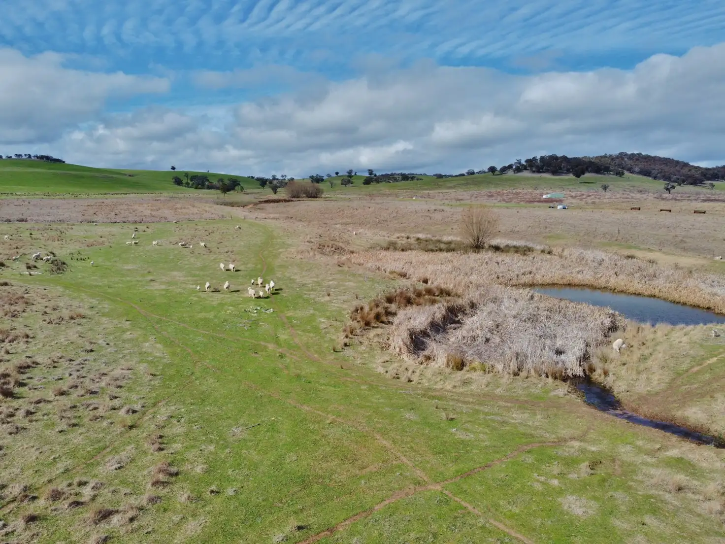 Main view of Homely land listing, 127 Calabash Road, Murringo, via, Young NSW 2594