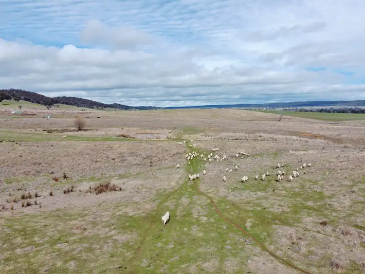 Fourth view of Homely land listing, 127 Calabash Road, Murringo, via, Young NSW 2594