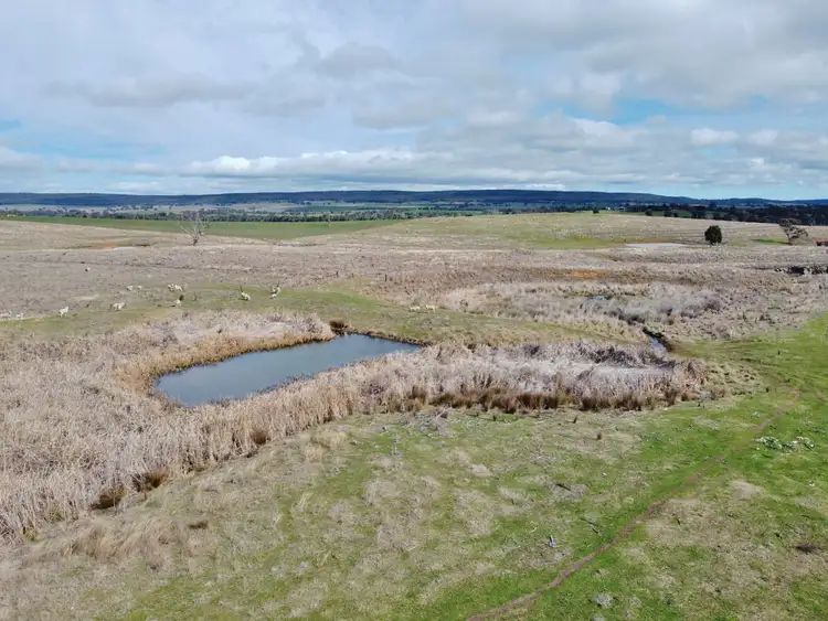 Fifth view of Homely land listing, 127 Calabash Road, Murringo, via, Young NSW 2594