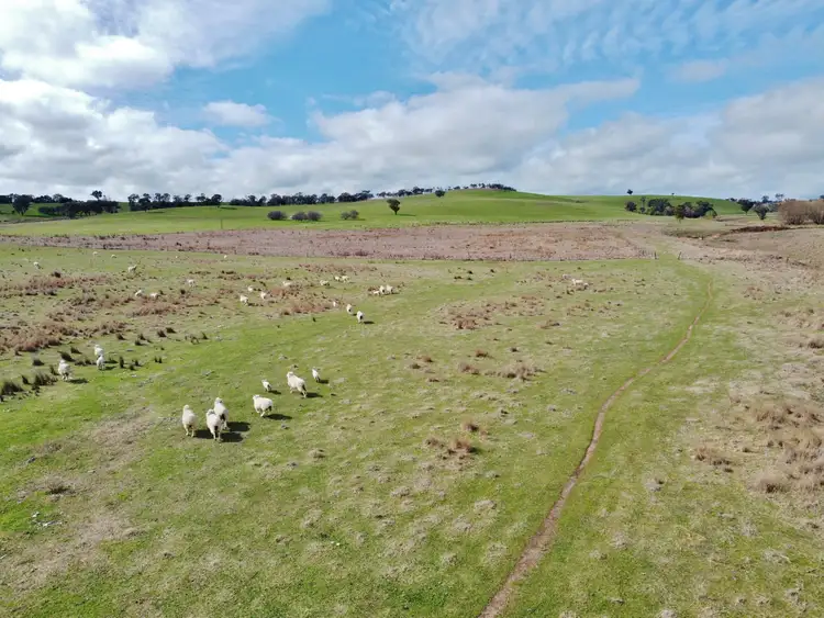 Sixth view of Homely land listing, 127 Calabash Road, Murringo, via, Young NSW 2594