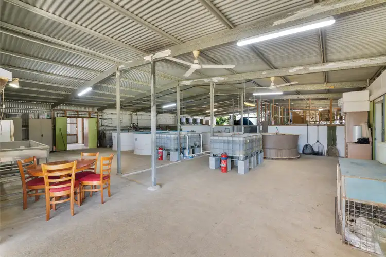 Third view of Homely other listing, 586 Hodzic Road, Biboohra QLD 4880