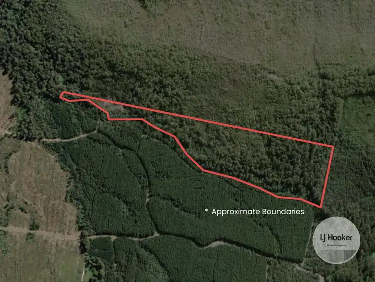 Third view of Homely land listing, (PID: 2971 Gordon River Road, Maydena TAS 7140