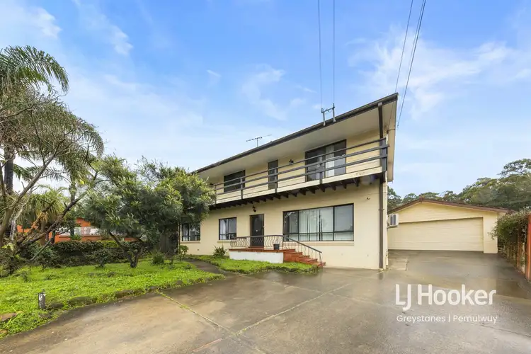 69 HIBISCUS STREET, Greystanes NSW 2145