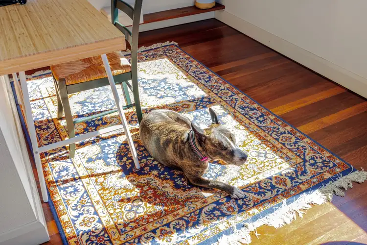 Fourth view of Homely apartment listing, 2/17 Berwick Street, Coogee NSW 2034