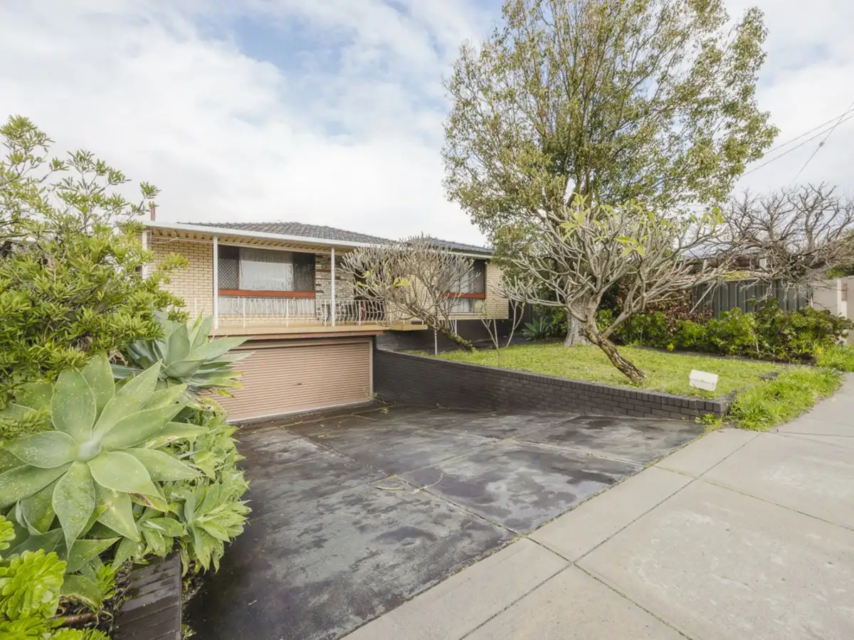Main view of Homely house listing, 62 Flinders Street, Yokine WA 6060
