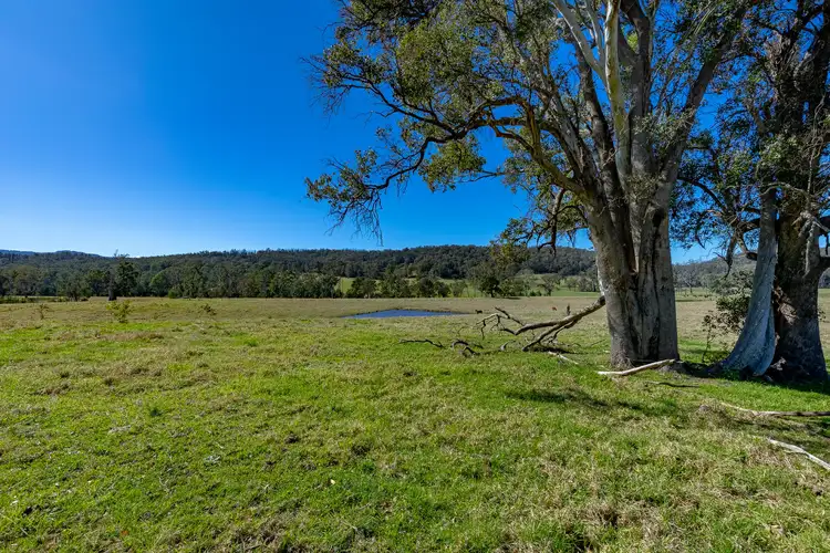 Sixth view of Homely land listing, 9859 Princes Highway, Cobargo NSW 2550