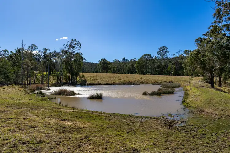 Seventh view of Homely land listing, 9859 Princes Highway, Cobargo NSW 2550