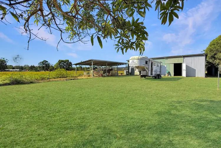 Fifth view of Homely rural property listing, 50 Coolamon Close, Mareeba QLD 4880