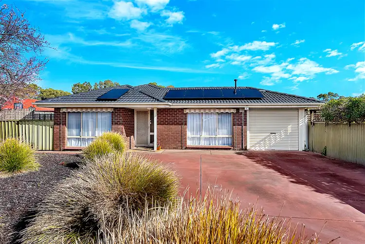 36 Pauline Drive, Surrey Downs SA 5126