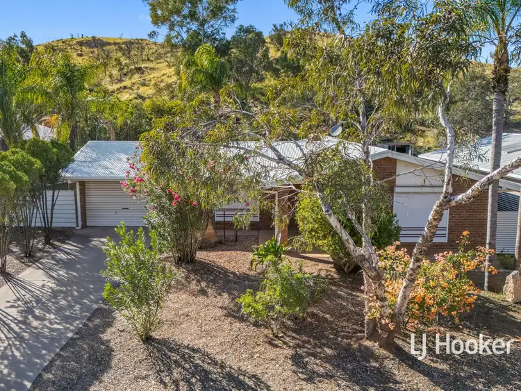 16 Gilbert Place, Larapinta NT 875