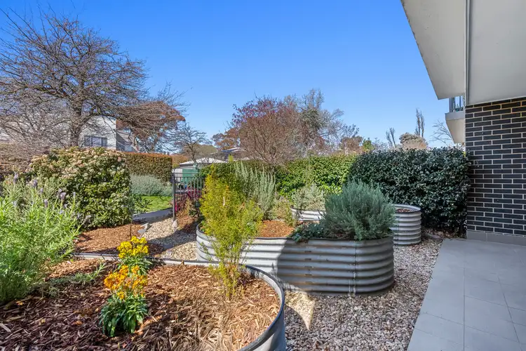 1/3 Hay Street, O'connor ACT 2602