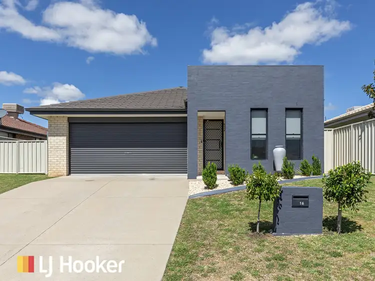 16 Warwick Road, Hillvue NSW 2340