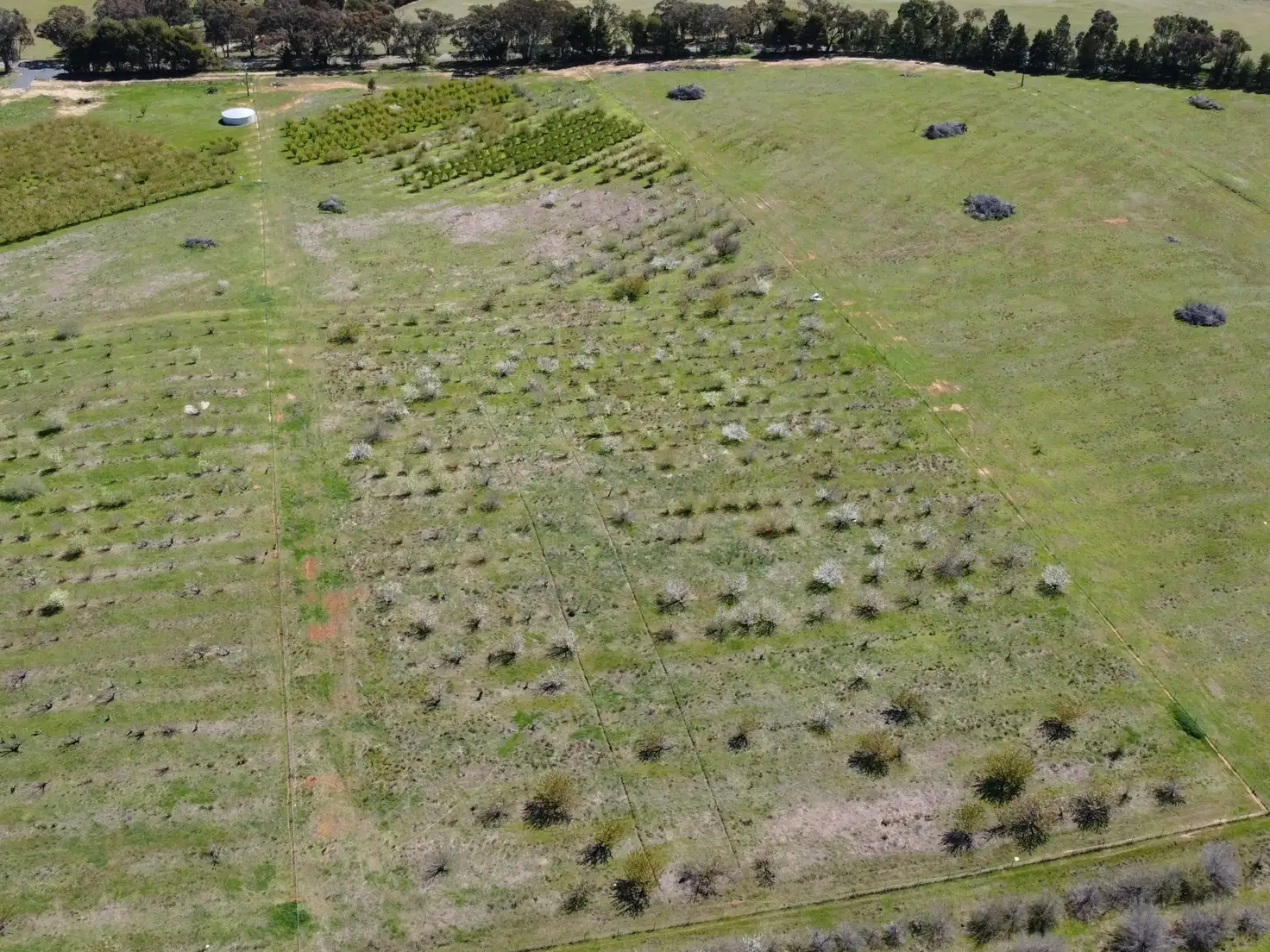 Main view of Homely land listing, 264 Scenic Road, Young NSW 2594