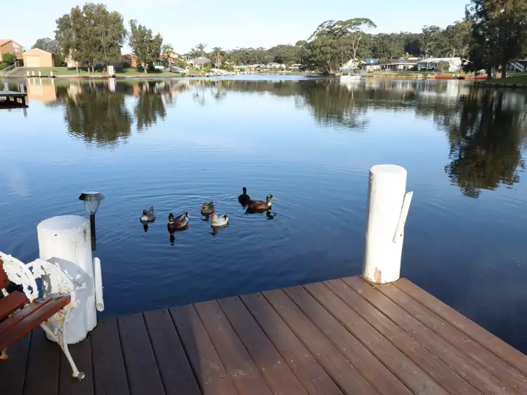 Fourth view of Homely house listing, 6 Plover Close, Sussex Inlet NSW 2540