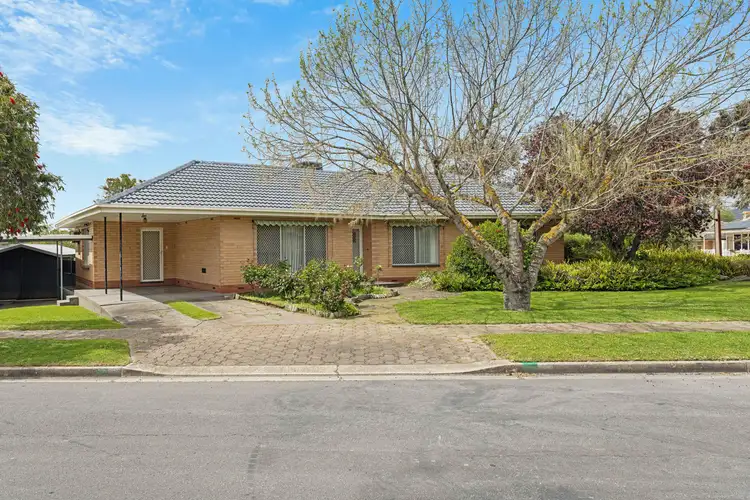 Second view of Homely house listing, 14 Rutherglen Avenue, Valley View SA 5093