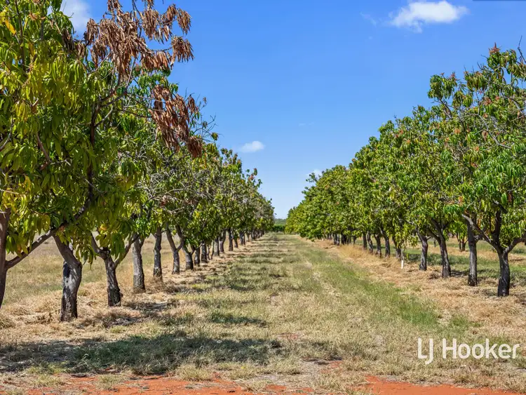 Third view of Homely rural property listing, 1734 Stuart Highway, Anmatjere NT 872