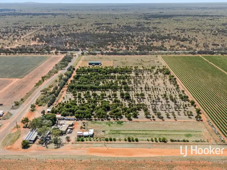 Fourth view of Homely rural property listing, 1734 Stuart Highway, Anmatjere NT 872