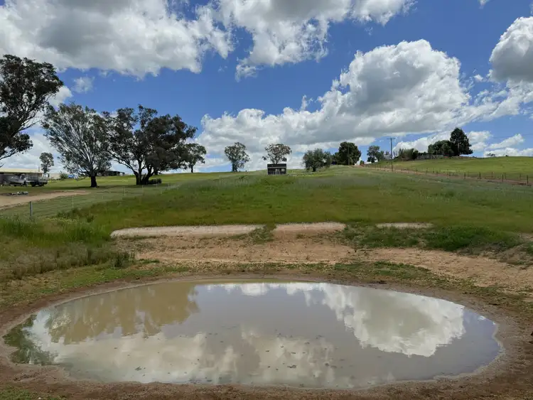 Fifth view of Homely house listing, 41 Wirrimah Rd, BENDICK MURRELL via, Young NSW 2594