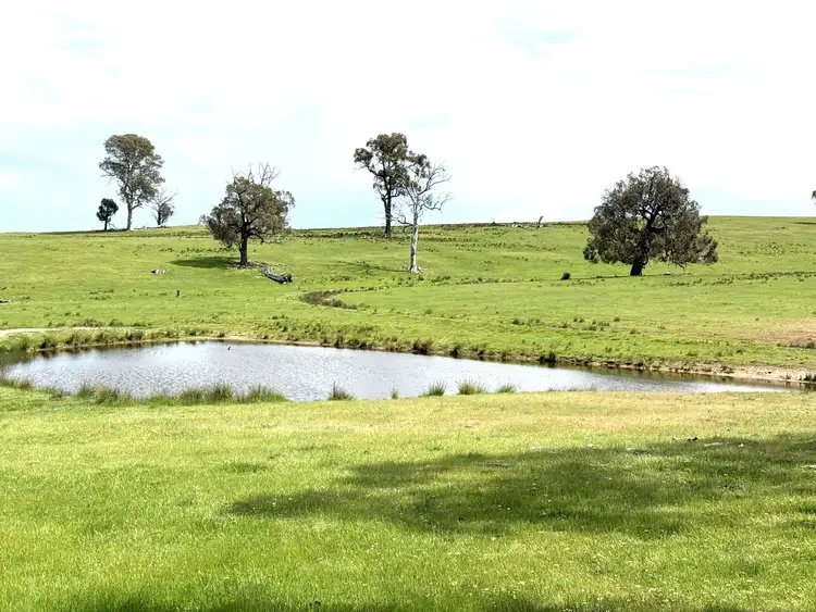 Third view of Homely rural property listing, 490 Geegullalong Road, Boorowa NSW 2586