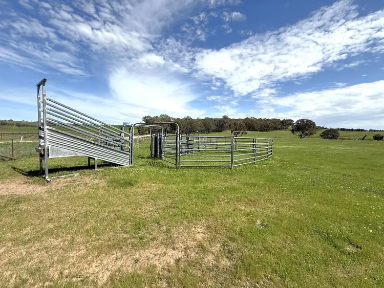Fourth view of Homely rural property listing, 490 Geegullalong Road, Boorowa NSW 2586