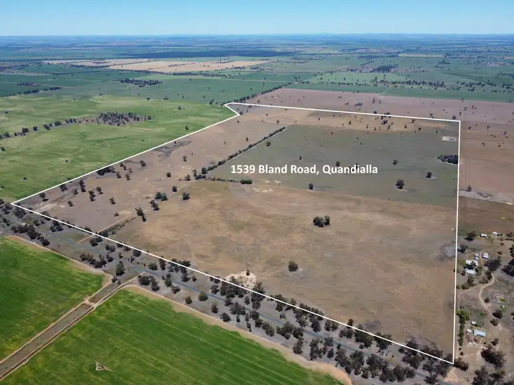 Main view of Homely rural property listing, 1539 Bland Road, Quandialla NSW 2721