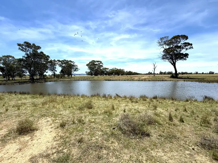 1539 Bland Road, Quandialla NSW 2721