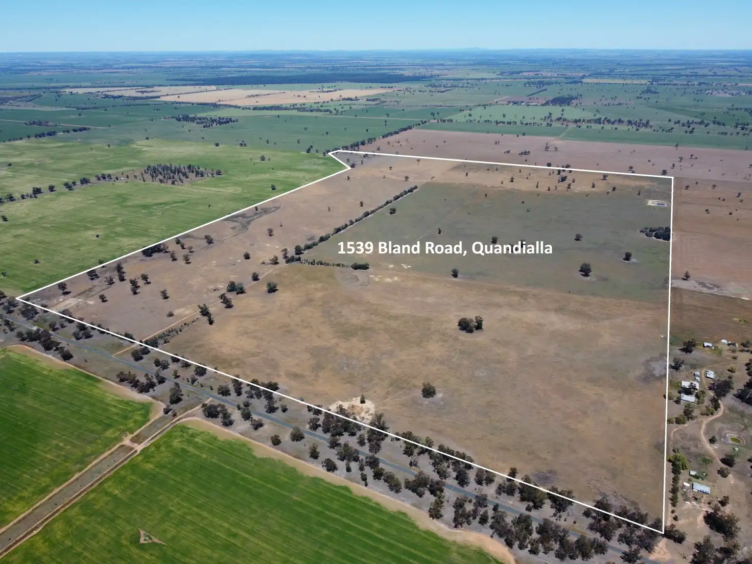 Main view of Homely rural property listing, 1539 Bland Road, Quandialla NSW 2721