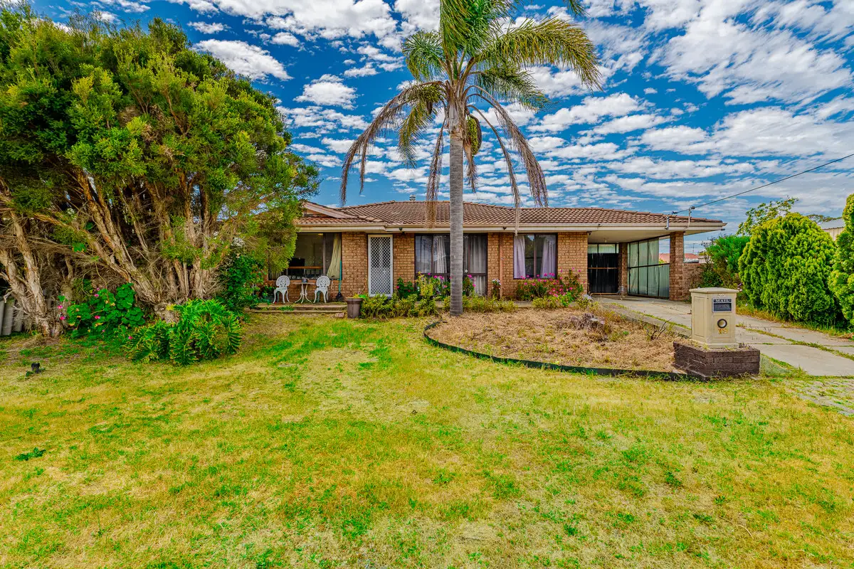 Main view of Homely house listing, 19 Jacaranda Drive, North Yunderup WA 6208