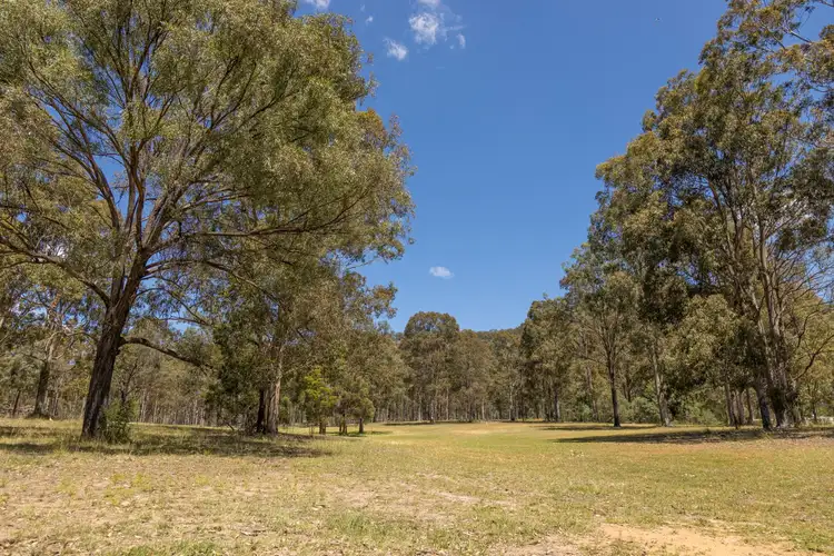 98A Wollemi Peak Road, Bulga NSW 2330