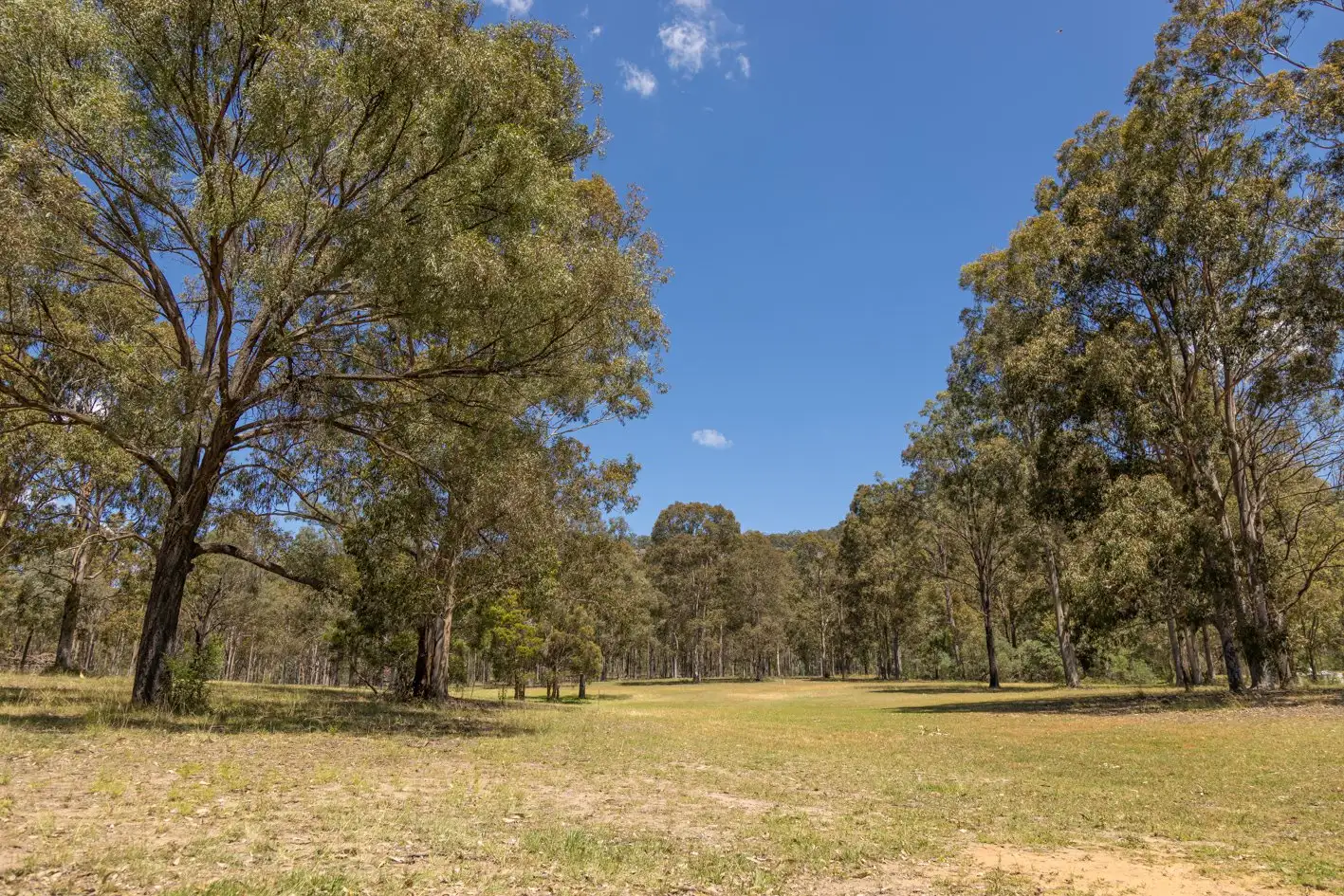Main view of Homely land listing, 98A Wollemi Peak Road, Bulga NSW 2330