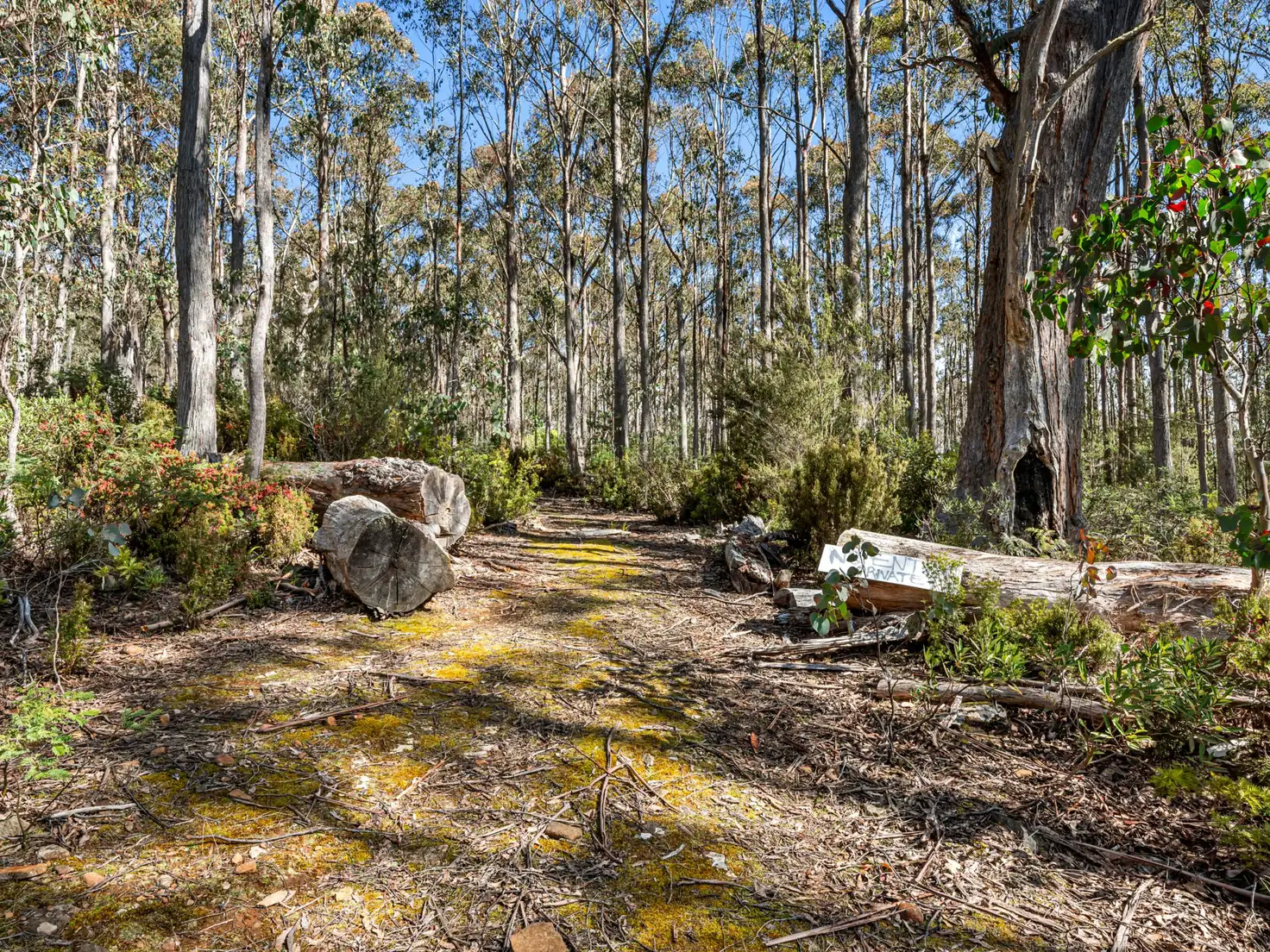 Main view of Homely land listing, Lot 1 Jefferys Track, Lachlan TAS 7140