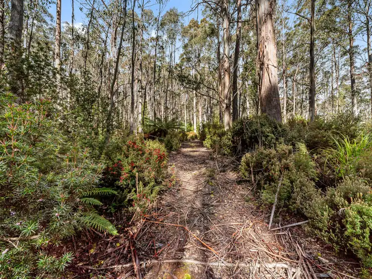 Second view of Homely land listing, Lot 1 Jefferys Track, Lachlan TAS 7140