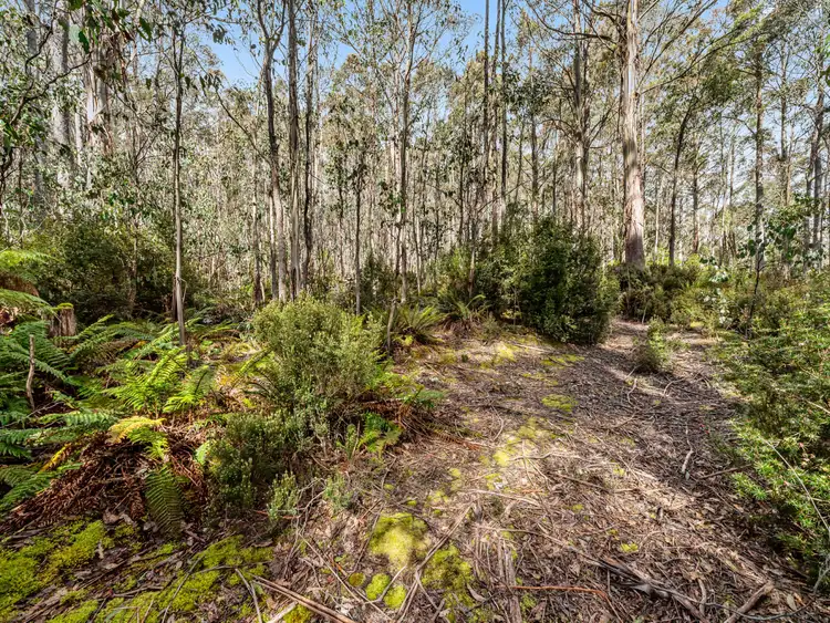 Third view of Homely land listing, Lot 1 Jefferys Track, Lachlan TAS 7140