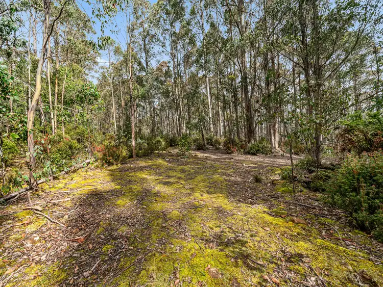 Fifth view of Homely land listing, Lot 1 Jefferys Track, Lachlan TAS 7140