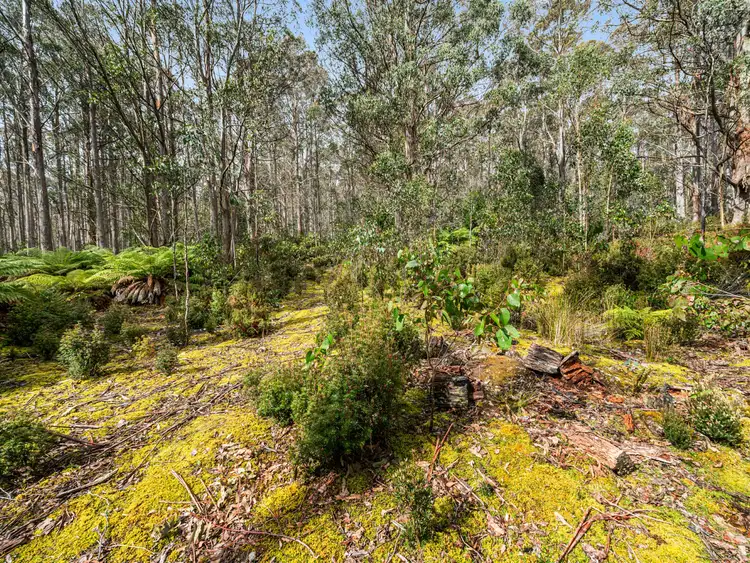 Sixth view of Homely land listing, Lot 1 Jefferys Track, Lachlan TAS 7140