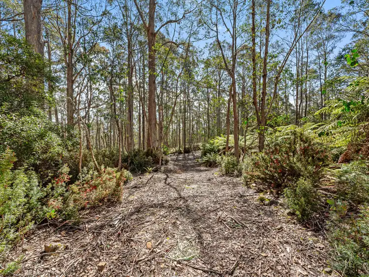 Seventh view of Homely land listing, Lot 1 Jefferys Track, Lachlan TAS 7140